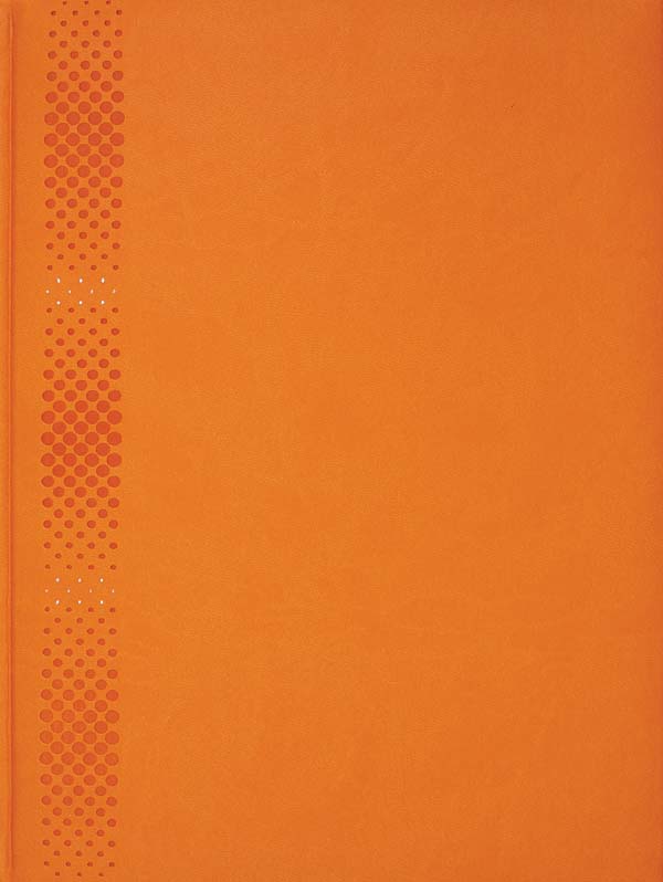 POSLOVNIK  DRESDEN - ORANŽNA 