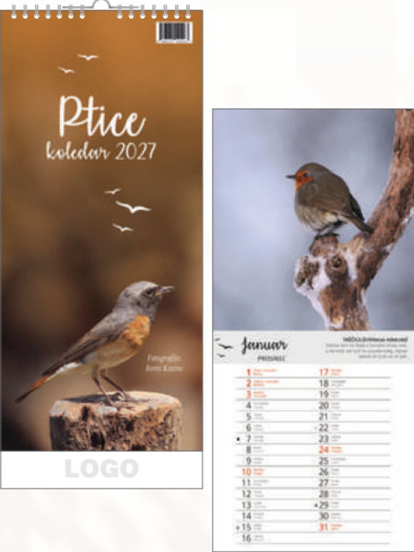 PTICE