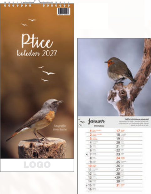 PTICE 